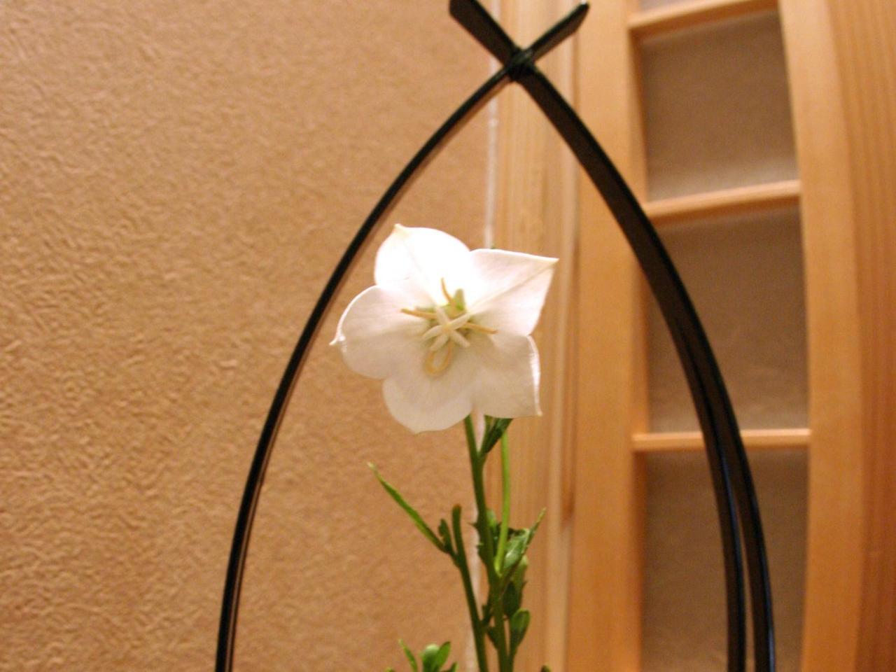 Ryokan Shinsen Takachiho Exterior photo